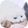 🦭 emoji Тюленчики от @xxhello_kittyx @TgEmodziBot Telegram sticker 14 of 65
