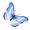 🦋 emoji @femboyn Telegram sticker 21 of 55