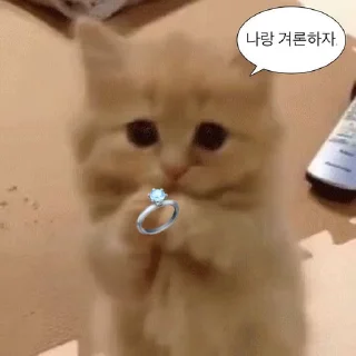😔 emoji Video Favorite stickers Telegram sticker 5 of 19