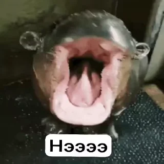 👎 emoji доооо и нээээ :: @gptVPNrbot Telegram sticker 2 of 9