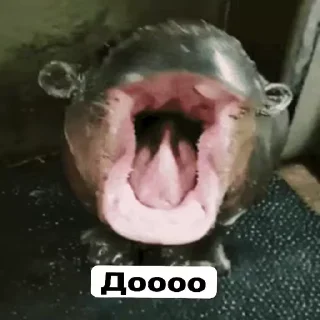 👍 emoji доооо и нээээ :: @gptVPNrbot Telegram sticker 1 of 9