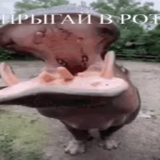 😋 emoji доооо и нээээ :: @gptVPNrbot Telegram sticker 6 of 9
