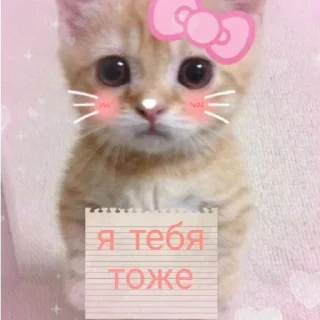 😘 emoji ✌🏻 Telegram sticker 24 of 101