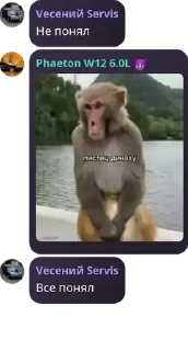 🤾 emoji Турбонадув 4 Telegram sticker 24 of 120