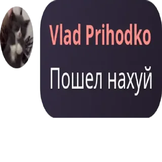 🐬 emoji Турбонадув 3 ➡️ @Ctikerubot Telegram sticker 21 of 120