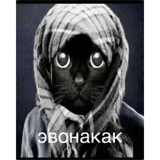 blablabla sticker 3