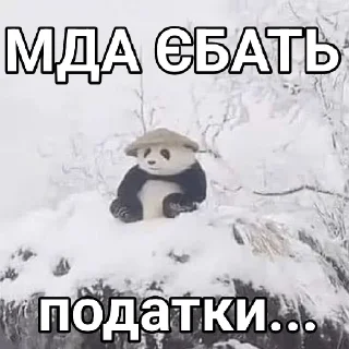Sticker from СМОКЧИ ХУЯКУ ГАНДОН @zalupydvi