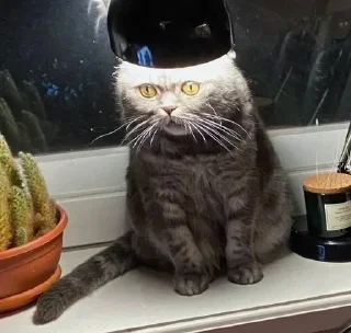 😧 emoji Алахатбар Telegram sticker 22 of 120