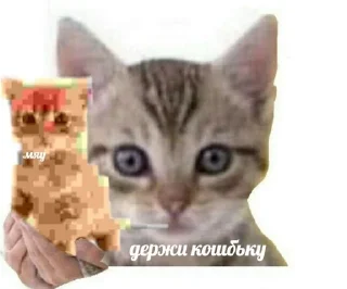 😏 emoji Вандер Telegram sticker 7 of 32