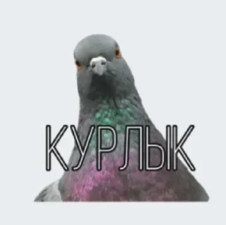 😌 emoji Алахатбар Telegram sticker 10 of 120