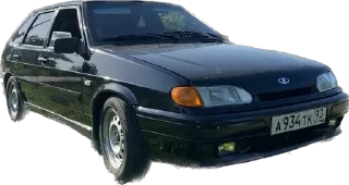 GuarJnanaFado sticker 4