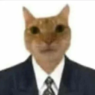 🐱 emoji Вандер Telegram sticker 17 of 32