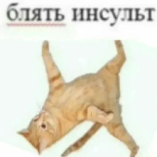 ✒️ emoji Алахатбар Telegram sticker 16 of 120