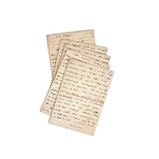 Sticker from ℒ𝒂𝒎𝒑𝒆𝒓𝒕 @risainfo