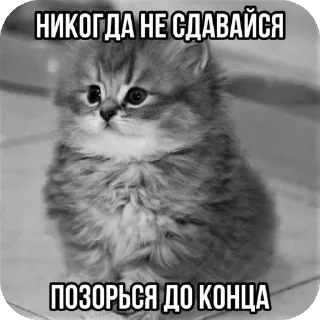 Sticker from хз @Agent_00007