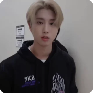 ♦️ emoji Джисон Telegram sticker 11 of 48