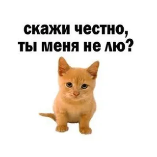 Sticker from Чмо