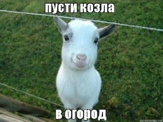 Sticker from пак для полемистёнков