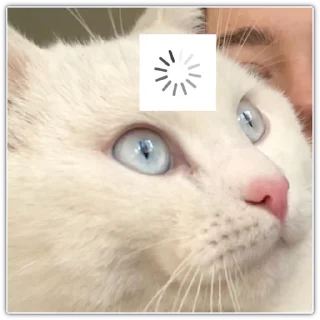 Sticker from Video Fav Stickers @theonly_reason