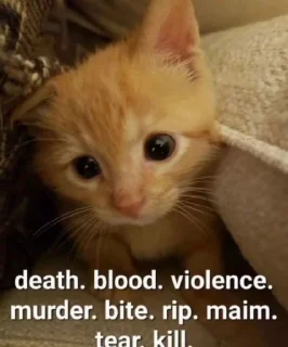 🐈 emoji Для меня и френдиков Telegram sticker 19 of 50