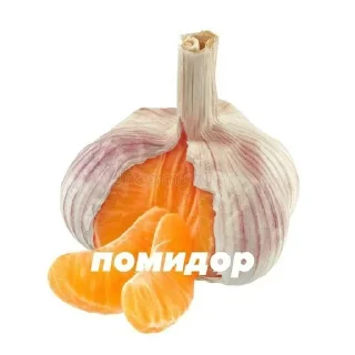 Sticker from рикки любит герыч