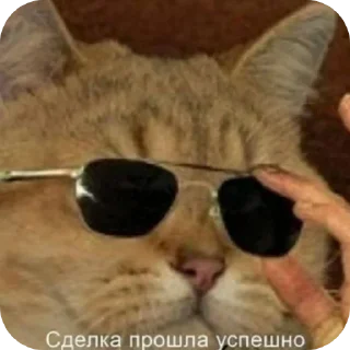 😎 emoji А ты вообще кто? Telegram sticker 22 of 24