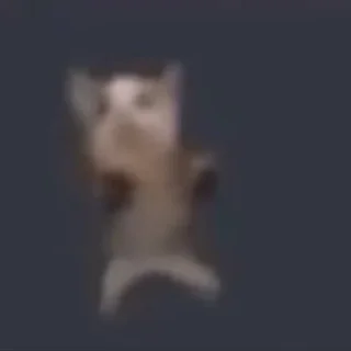 💃 emoji @yaziktembot <--- стикеры тут Telegram sticker 13 of 50
