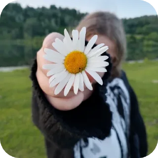 🌸 emoji Евачкааа Telegram sticker 2 of 41