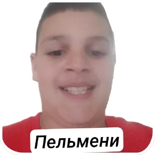 Sticker from Пельмени