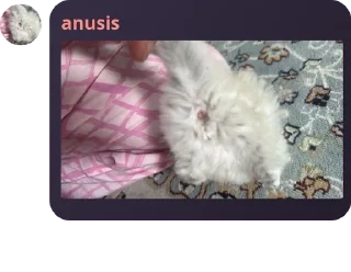 🔣 emoji Антивумен Банда pack by @QuotLyBot Telegram sticker 6 of 120