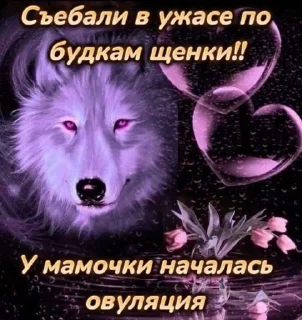 🔥 emoji Какие-то картинки из пинтерест Telegram sticker 17 of 120