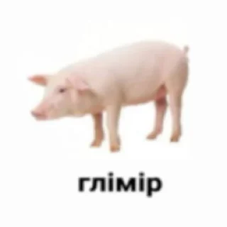 Sticker from ВИКА С ЧЛЕНОМ