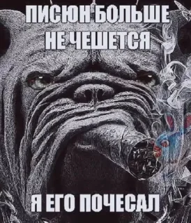🚬 emoji ВИКА С ЧЛЕНОМ Telegram sticker 10 of 65