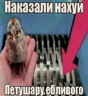 🌟 emoji хуйня Telegram sticker 5 of 119