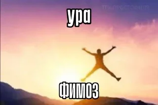 🤗 emoji ВИКА С ЧЛЕНОМ Telegram sticker 23 of 65