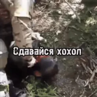 Sticker from хуйня