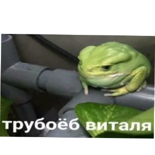 🥦 emoji Лоботомия core Telegram sticker 17 of 42