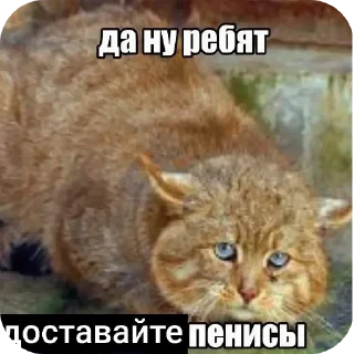 🐱 emoji Лоботомия core Telegram sticker 24 of 42