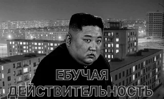 Товарищ Ким sticker 1
