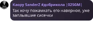 🥷 emoji Чат мамкиных политиков pack by @QuotLyBot Telegram sticker 22 of 30