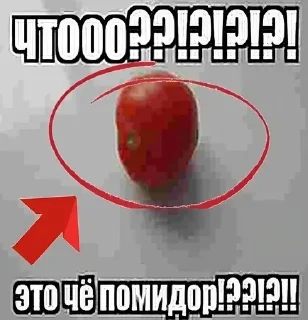 Sticker from [1]смехуятина от @arbuz_krutoi