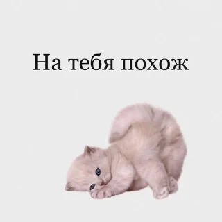 Sticker from снюся я