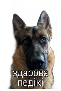 Sticker from katana slaves pack