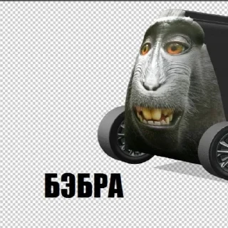 Sticker from meme by @@xo4ypelMeHi