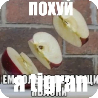👍 emoji бочка фм (@sionit_shp) Telegram sticker 15 of 98