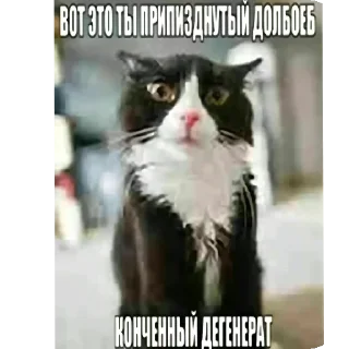 👍 emoji бочка фм (@sionit_shp) Telegram sticker 14 of 98