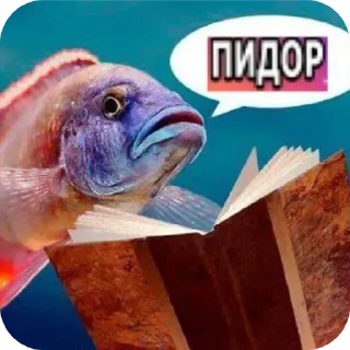 🐦 emoji бочка фм (@sionit_shp) Telegram sticker 11 of 98