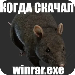 👍 emoji бочка фм (@sionit_shp) Telegram sticker 12 of 98