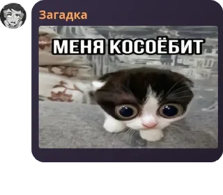 ✅ emoji Гей клуб Slaay Telegram sticker 9 of 11