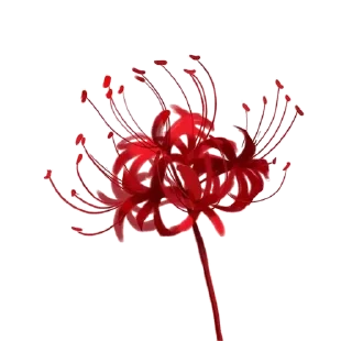 Sticker from flowers 4u ^^
